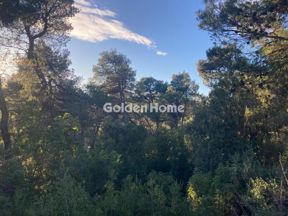 Building Plot in Agia Triada, Afidnes — Photo 1 of 4