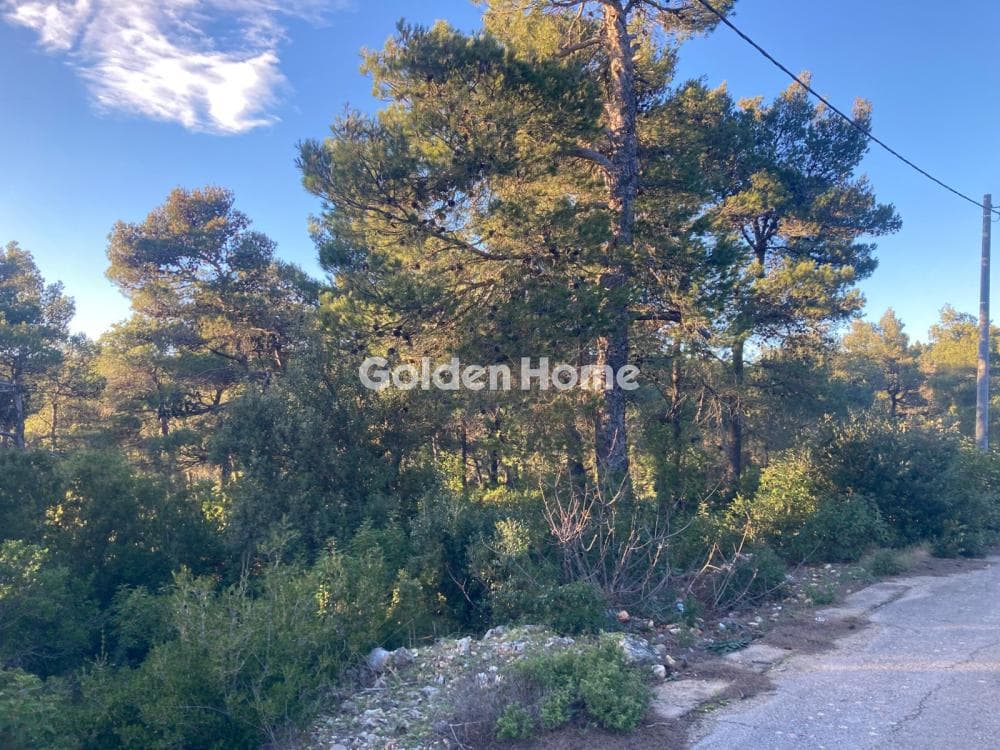 Building Plot in Agia Triada, Afidnes — Photo 2 of 4