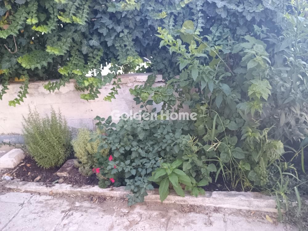 Διαμέρισμα στην Τζιτζιφιές, Μοσχάτο — Φωτογραφία 6 από 32