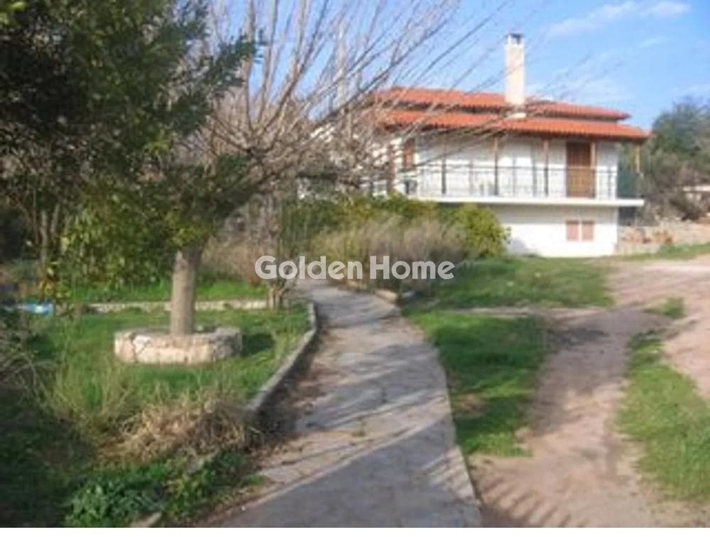 House in Grammatiko - center, Grammatiko — Photo 11 of 14
