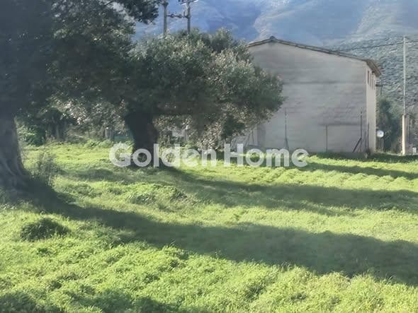 Building Plot in Κέντρο, Kalivia Thorikou — Photo 1 of 5