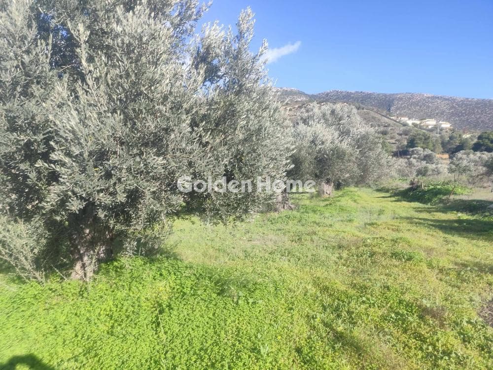 Building Plot in Κέντρο, Kalivia Thorikou — Photo 2 of 5