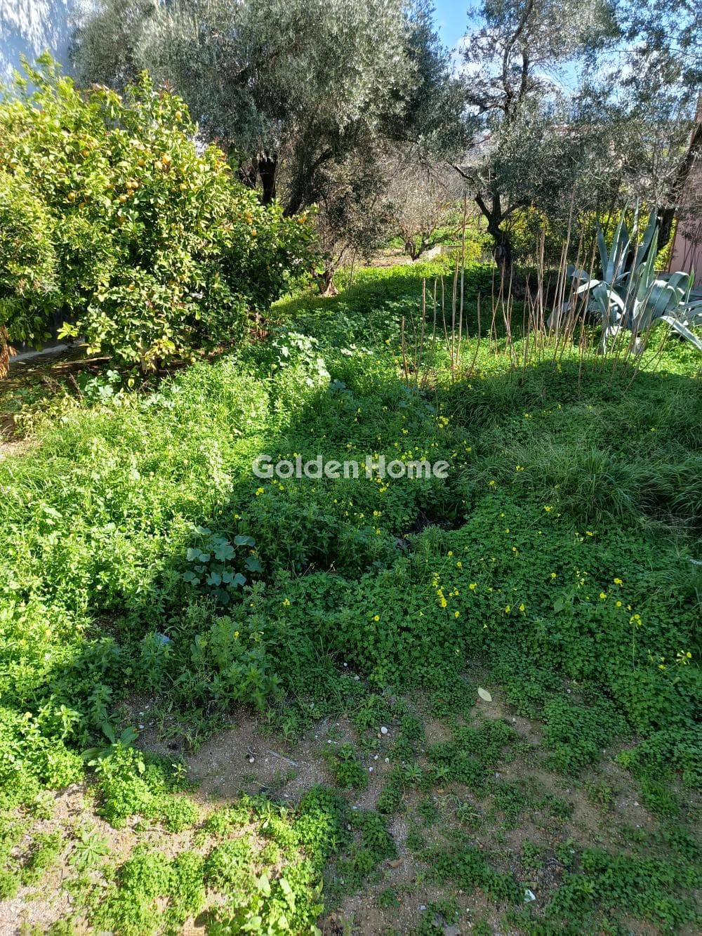 Building Plot in Pagoni, Aegina — Photo 2 of 3