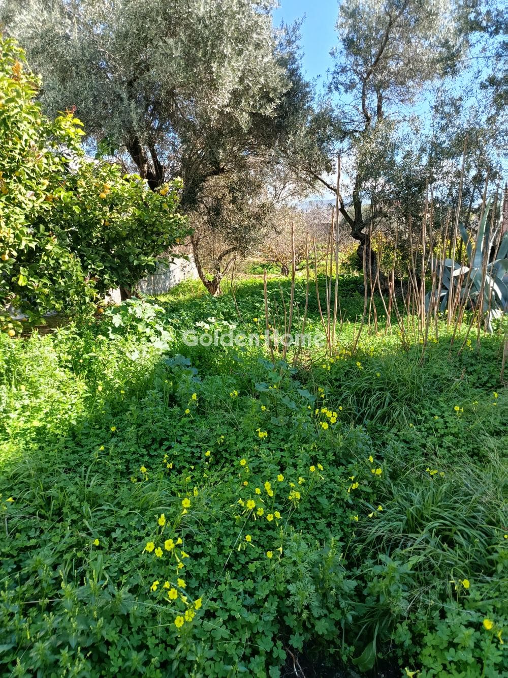 Building Plot in Pagoni, Aegina — Photo 3 of 3