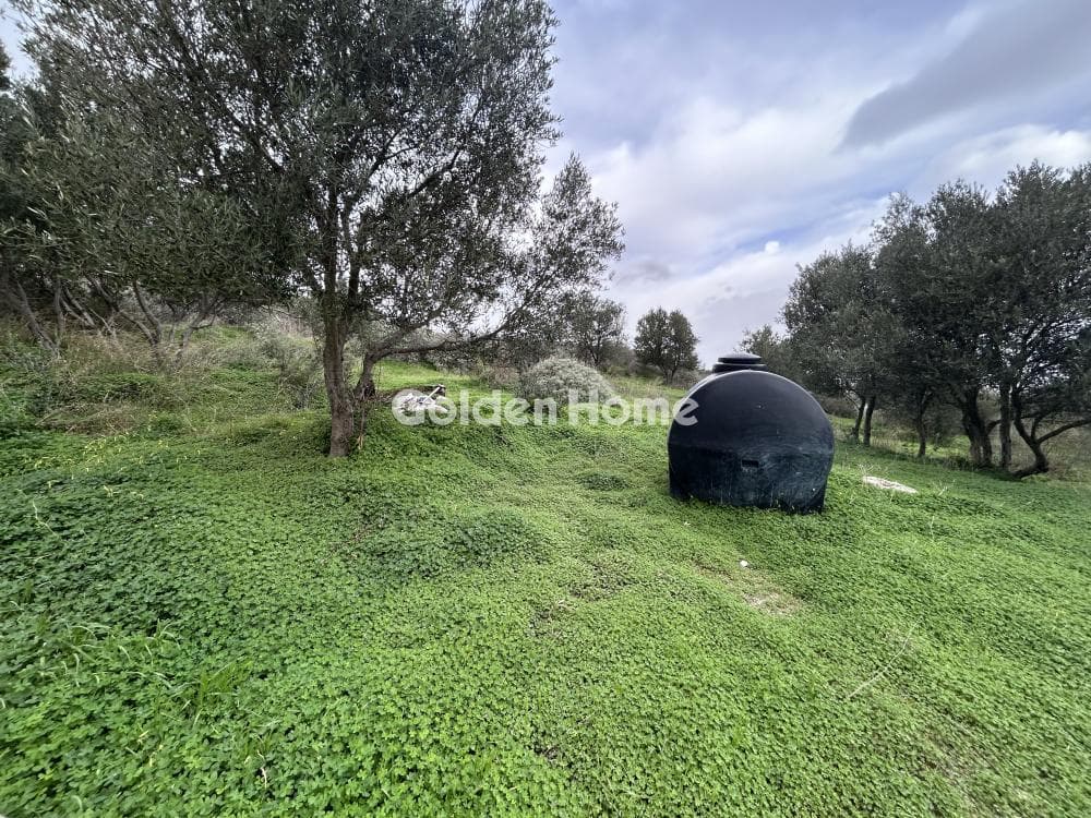 Αγροτεμάχιο στην Αθάνατοι, Τέμενος — Φωτογραφία 1 από 3