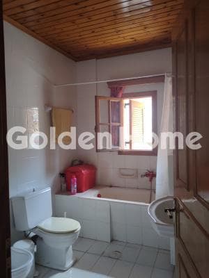 House in Center, Desfina — Photo 13 of 30
