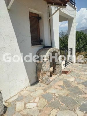 House in Center, Desfina — Photo 27 of 30