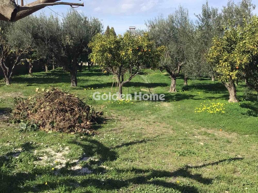 Μονοκατοικία στην Κρήνες, Βέλο — Φωτογραφία 19 από 24