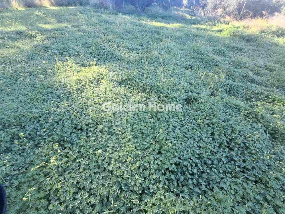 Οικόπεδο στην Κάτω Καλέσια, Τέμενος — Φωτογραφία 7 από 15