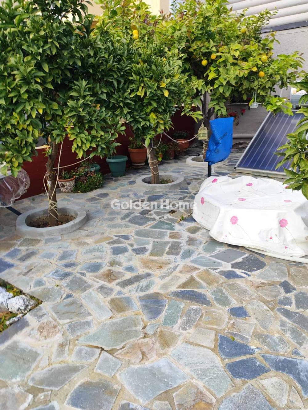 House in Giala, Salamina — Photo 37 of 100