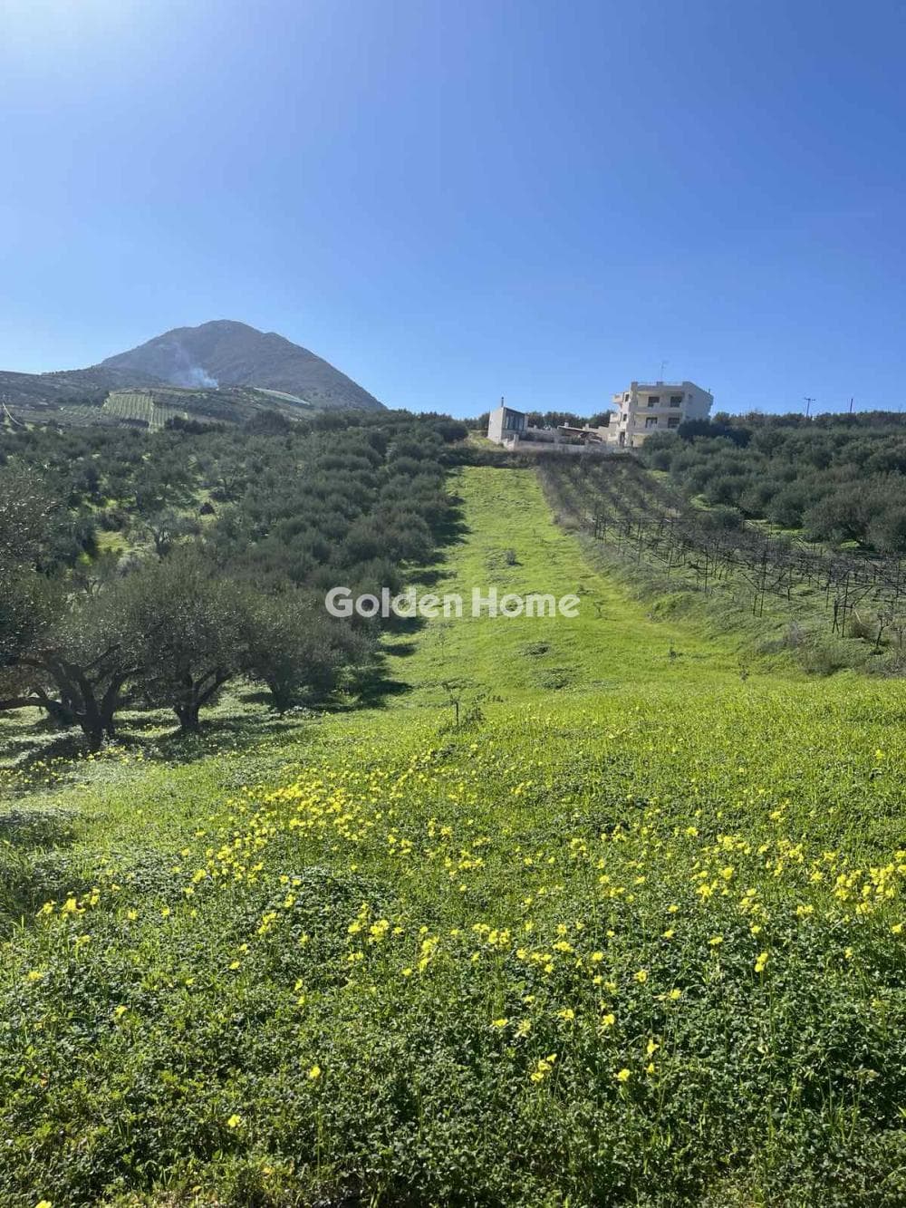Οικόπεδο στην Σίλαμος, Αρχάνες