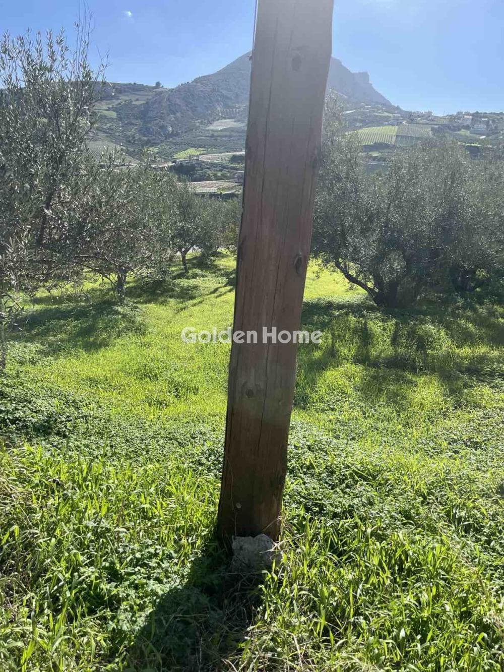 Οικόπεδο στην Σίλαμος, Αρχάνες — Φωτογραφία 5 από 8