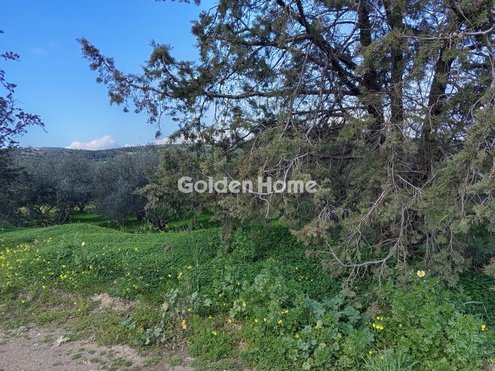 Building Plot in Kouses, Moires — Photo 2 of 4