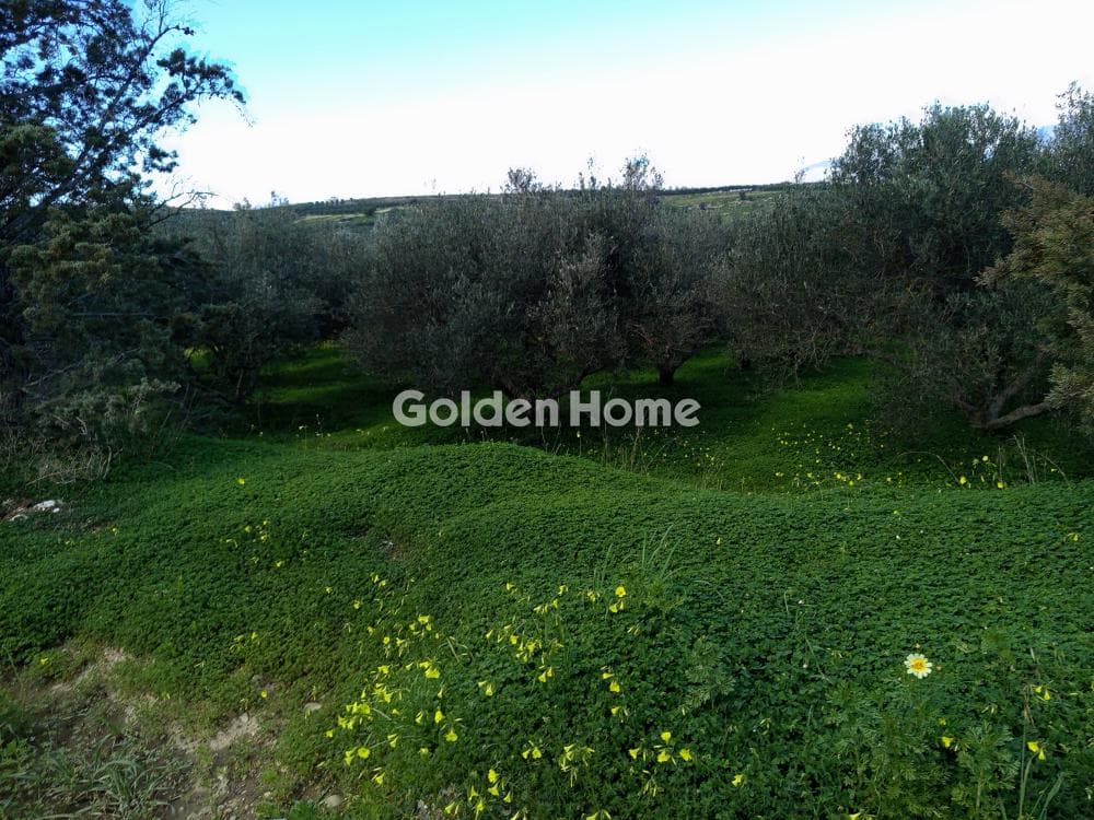 Building Plot in Kouses, Moires — Photo 3 of 4