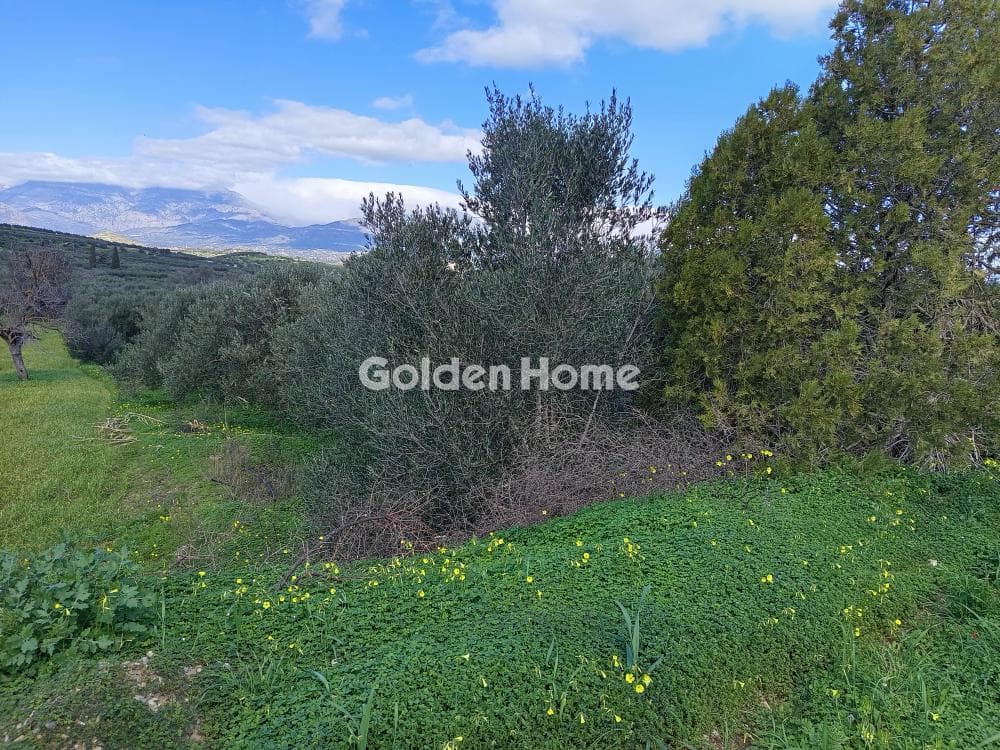 Building Plot in Kouses, Moires — Photo 1 of 4