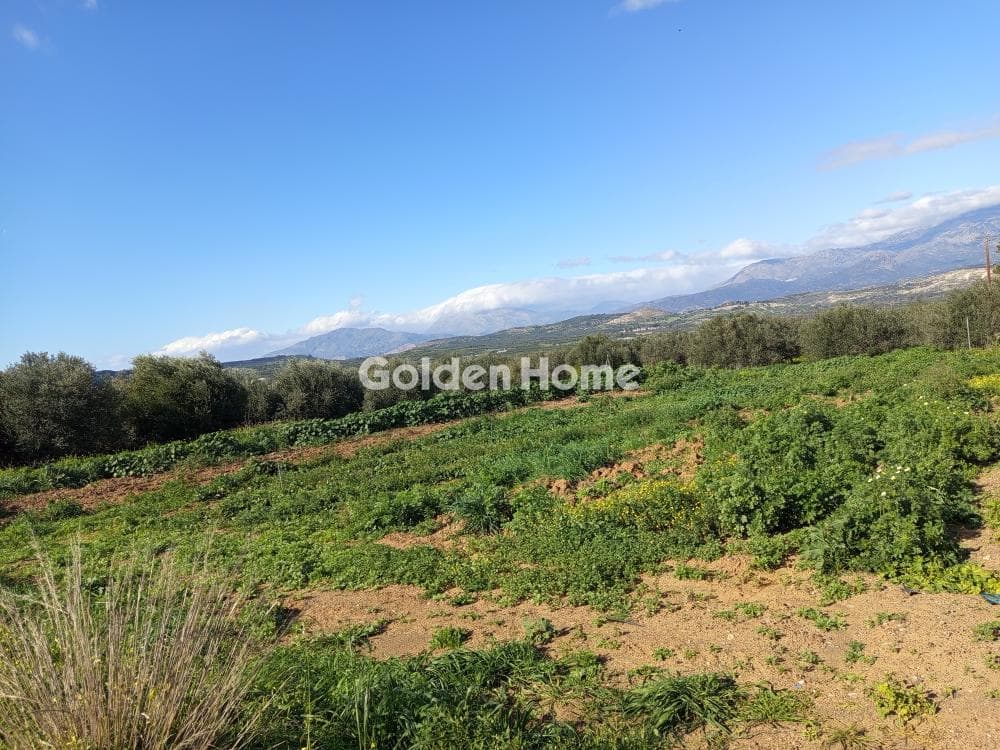 Building Plot in Kouses, Moires — Photo 2 of 2