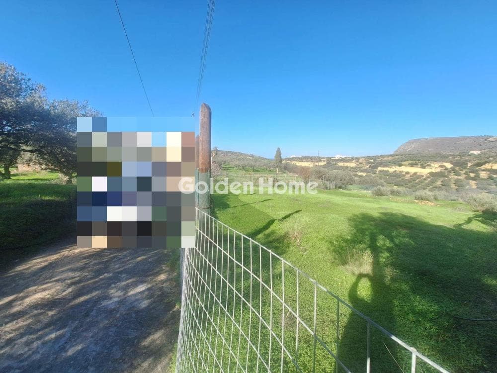 Αγροτεμάχιο στην Σκοτεινό, Γούβες — Φωτογραφία 4 από 6