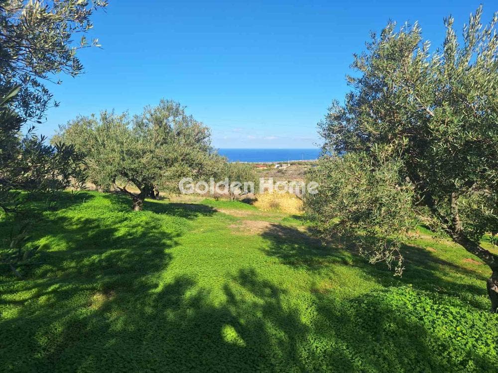 Αγροτεμάχιο στην Σκοτεινό, Γούβες — Φωτογραφία 9 από 11