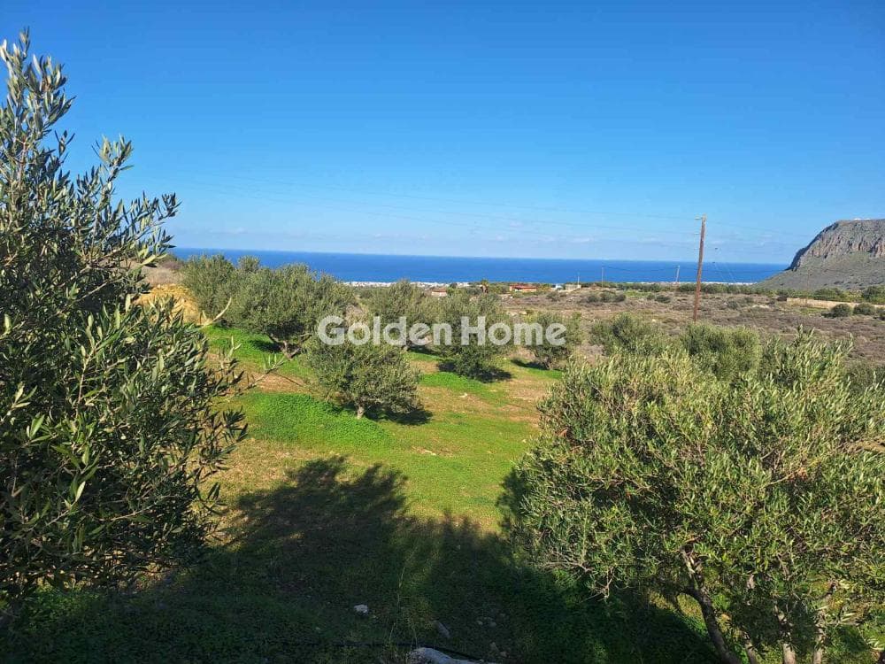 Αγροτεμάχιο στην Σκοτεινό, Γούβες — Φωτογραφία 11 από 11