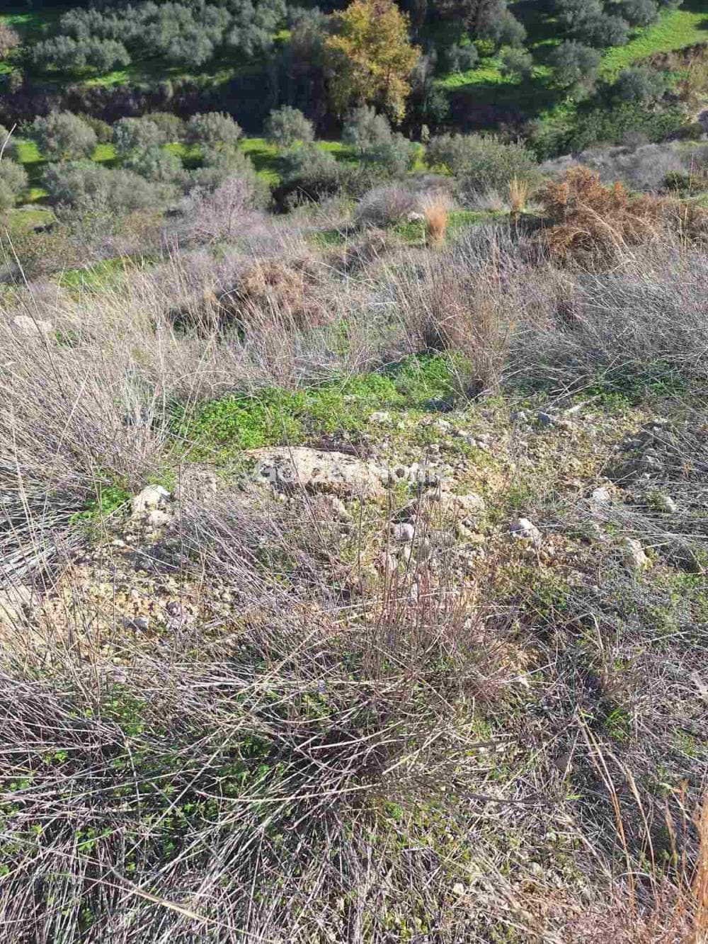Οικόπεδο στην Σκοτεινό, Γούβες — Φωτογραφία 3 από 6