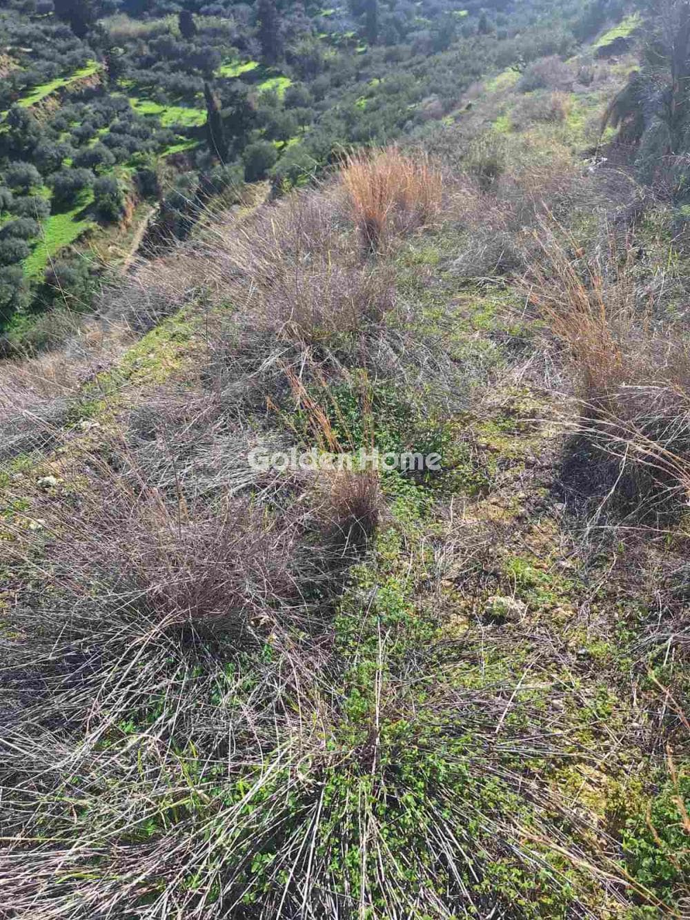 Οικόπεδο στην Σκοτεινό, Γούβες — Φωτογραφία 6 από 6