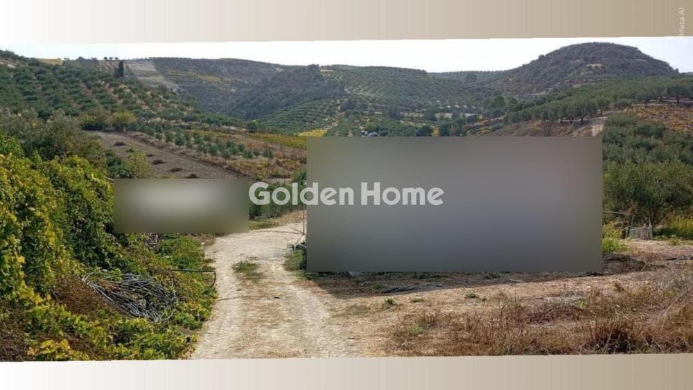Οικόπεδο στην Δαφνές, Τετραχώρι — Φωτογραφία 1 από 6