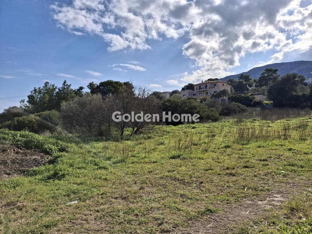 Parcel in Limni Markopoulou, Markopoulo — Photo 3 of 3