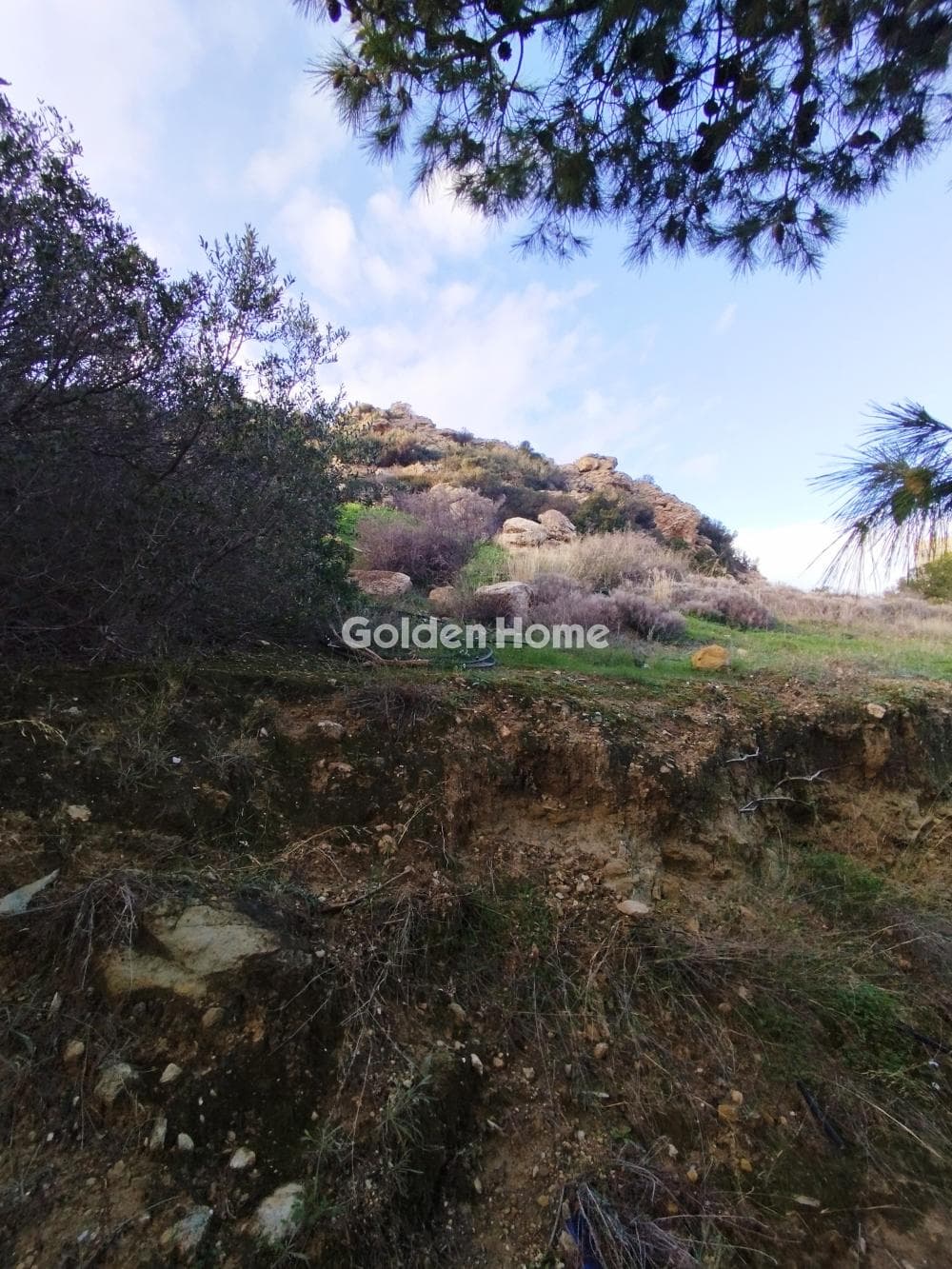 Building Plot in Kalivia, Kalivia Thorikou — Photo 4 of 5