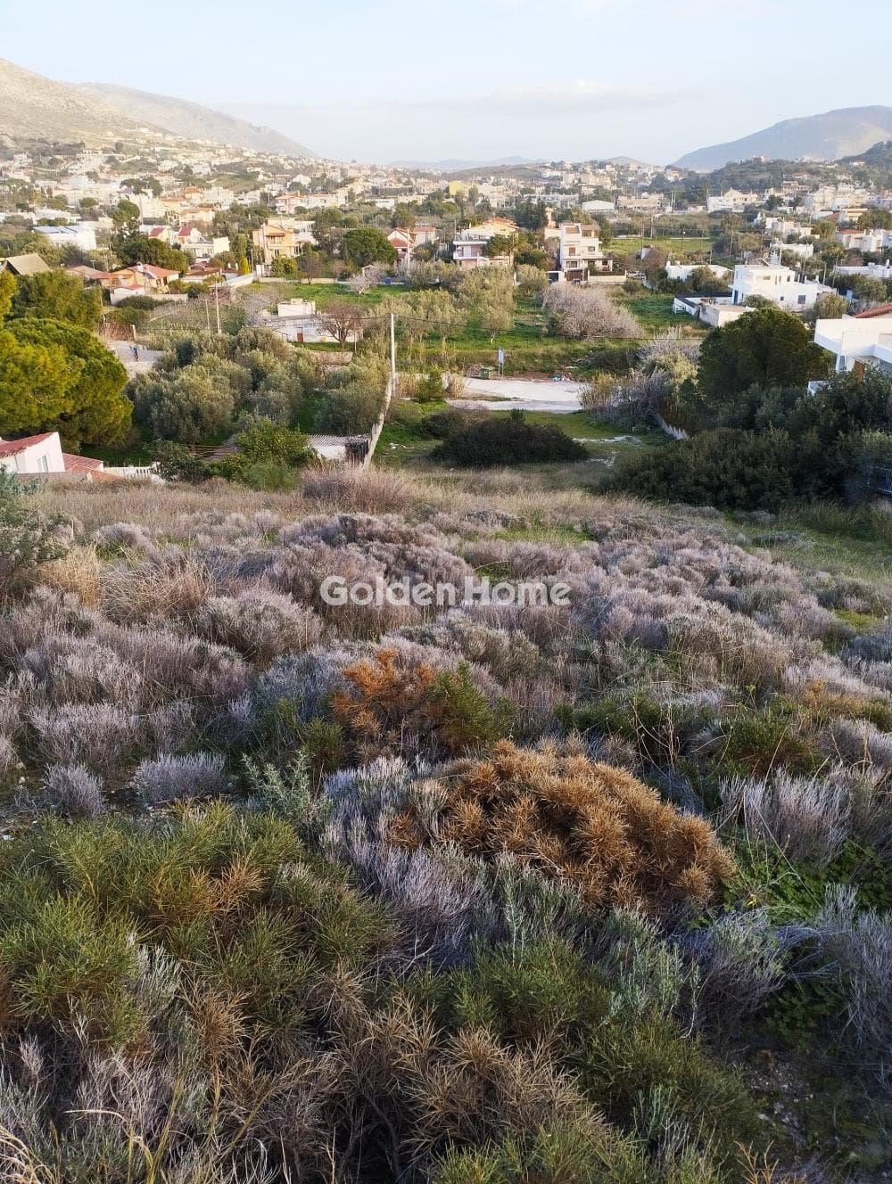 Building Plot in Kalivia, Kalivia Thorikou — Photo 5 of 5
