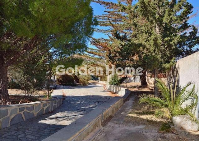 Μονοκατοικία στην Καλύβια, Καλύβια Θορικού — Φωτογραφία 26 από 52