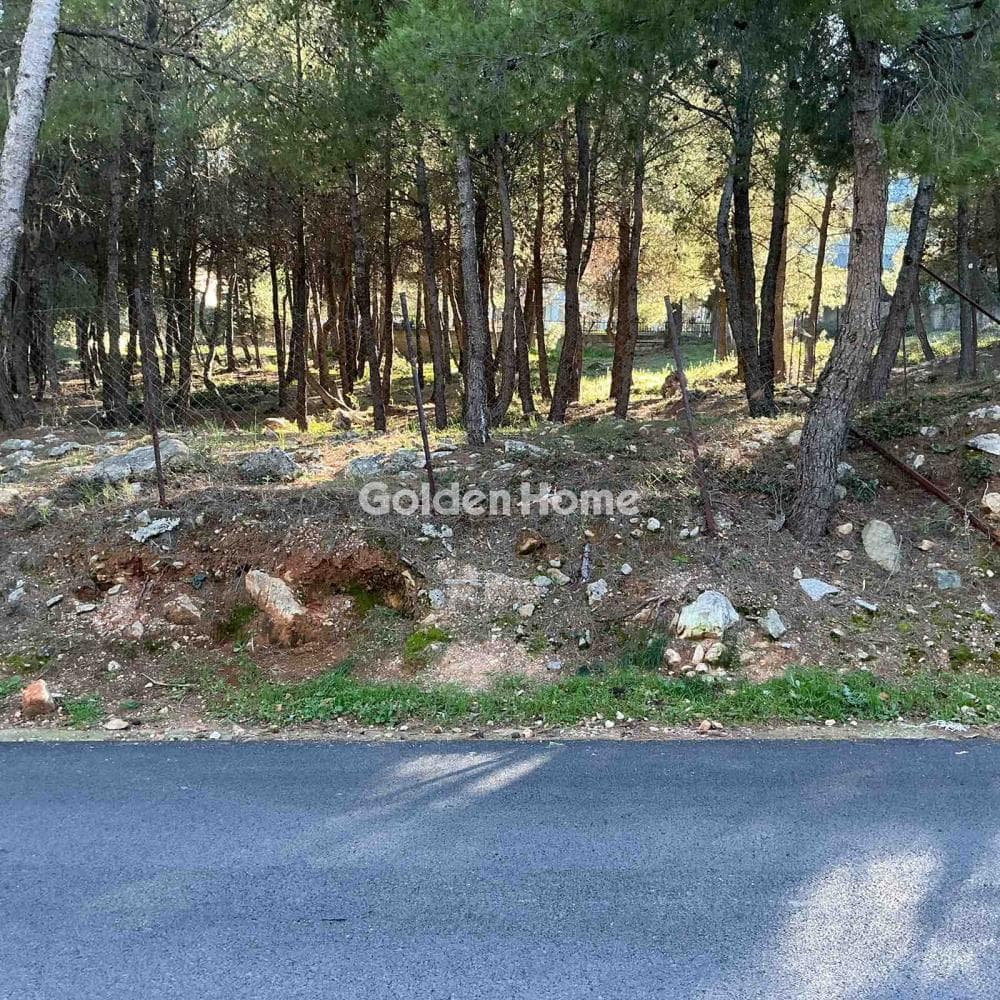 Building Plot in Rodopoli, Rodopoli