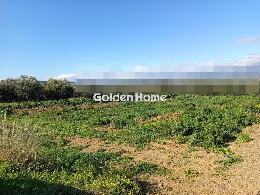 Αγροτεμάχιο στην Κόκκινος Πύργος, Τυμπάκι — Φωτογραφία 2 από 2