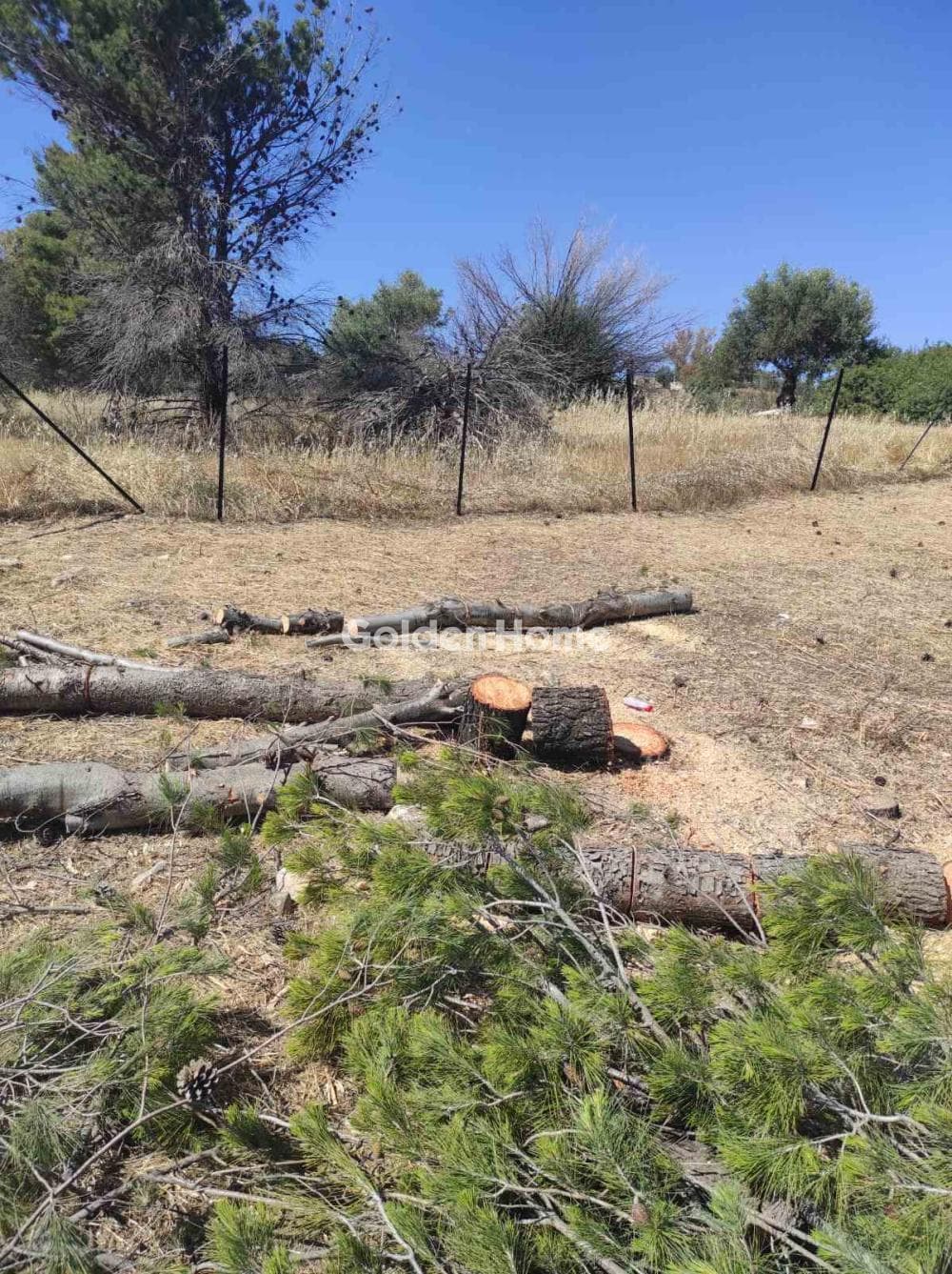 Αγροτεμάχιο στην Καρούζι, Παλλήνη — Φωτογραφία 3 από 3