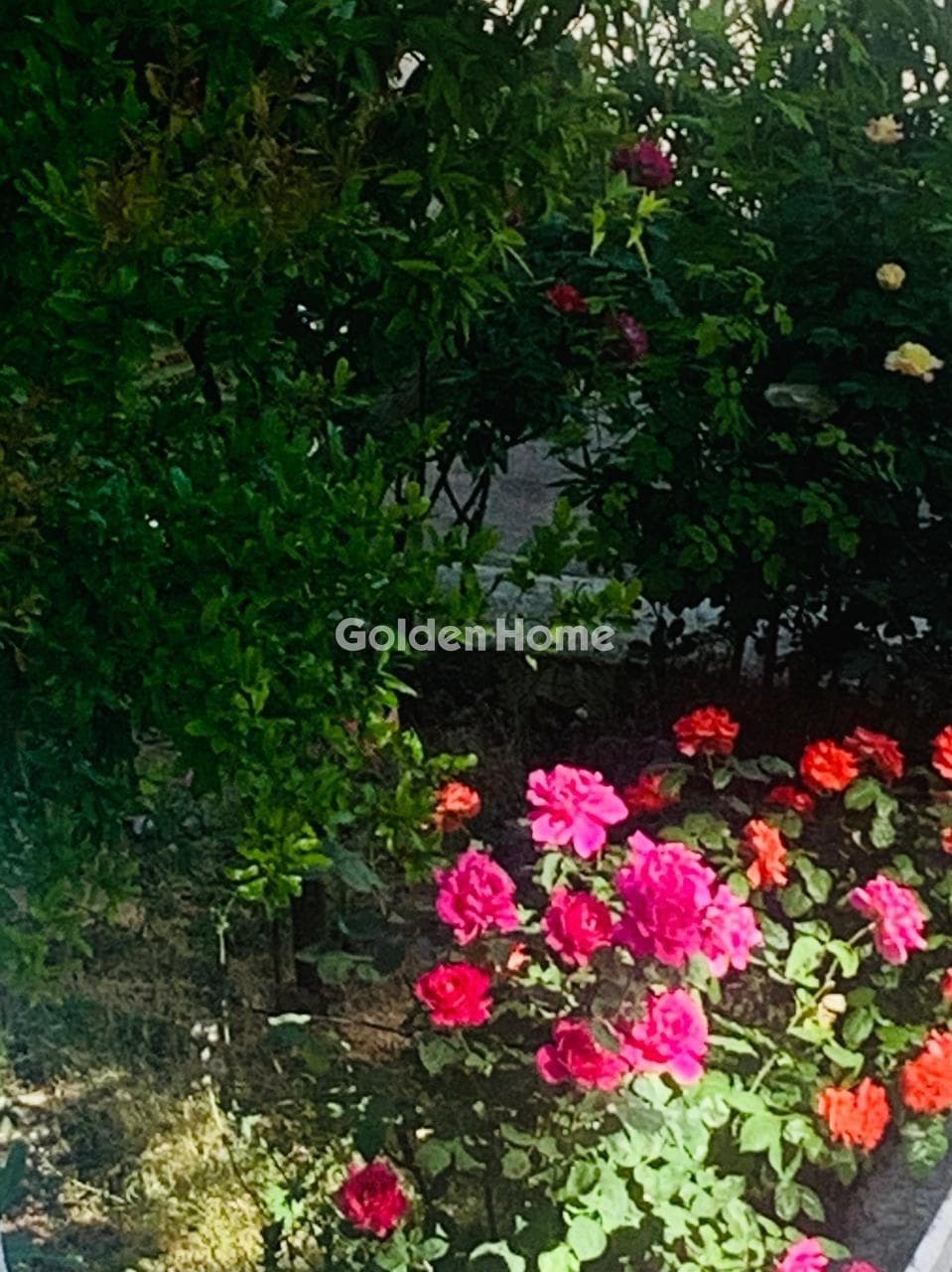 House in Anagennisi, Drosia — Photo 26 of 27