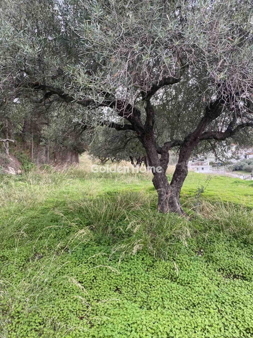 Building Plot in Fortetsa, Heraclion Cretes — Photo 5 of 7