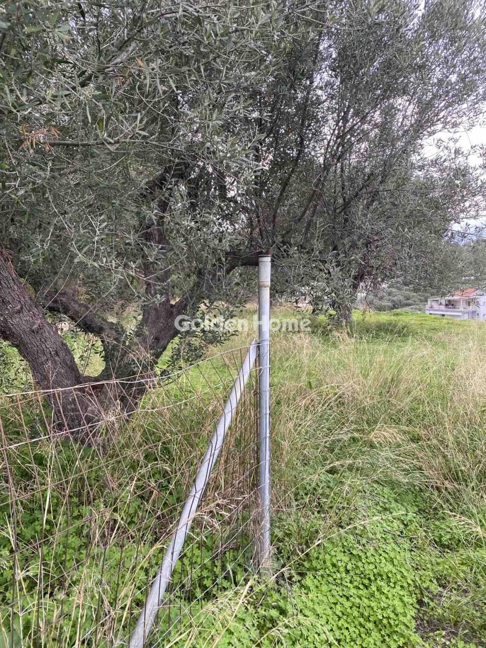 Building Plot in Fortetsa, Heraclion Cretes — Photo 7 of 7