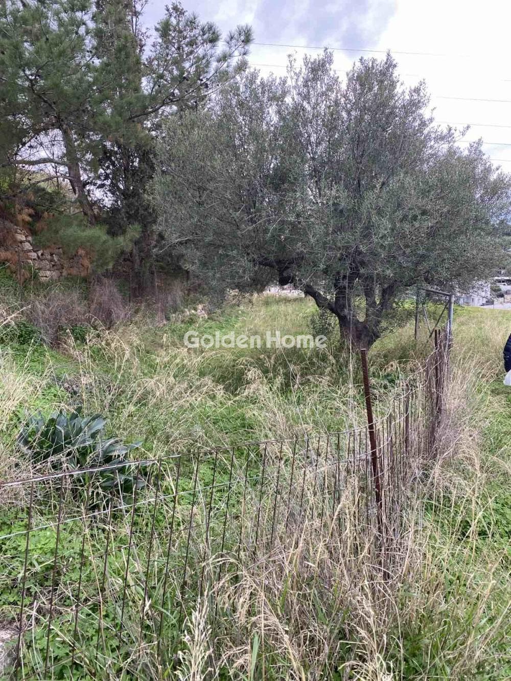 Building Plot in Fortetsa, Heraclion Cretes — Photo 4 of 7