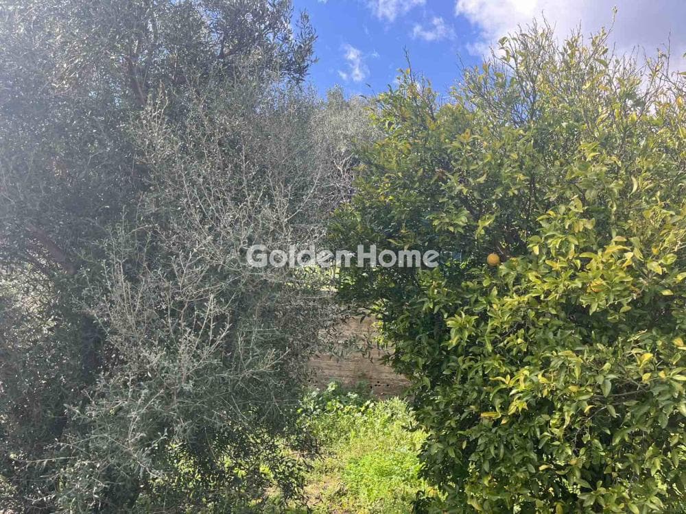 House in Ntaou Penteli, Pikermi — Photo 18 of 19