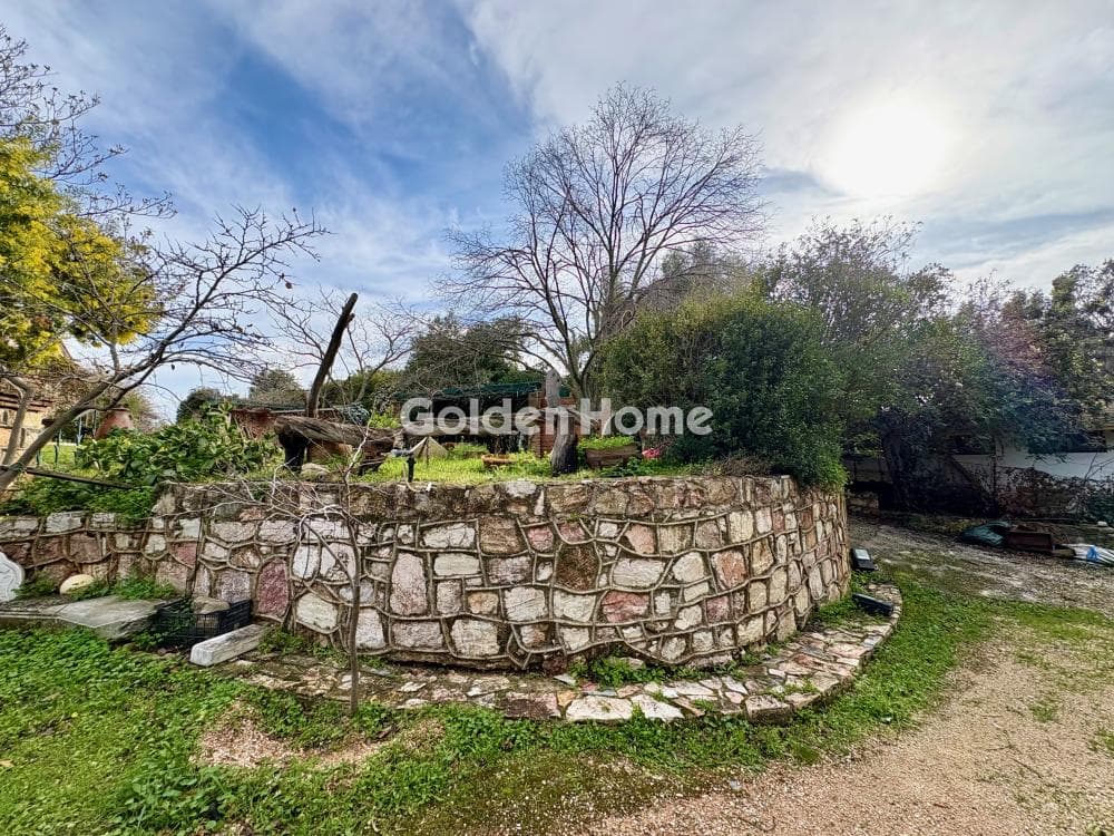 House in Agia Triada, Markopoulo — Photo 39 of 52