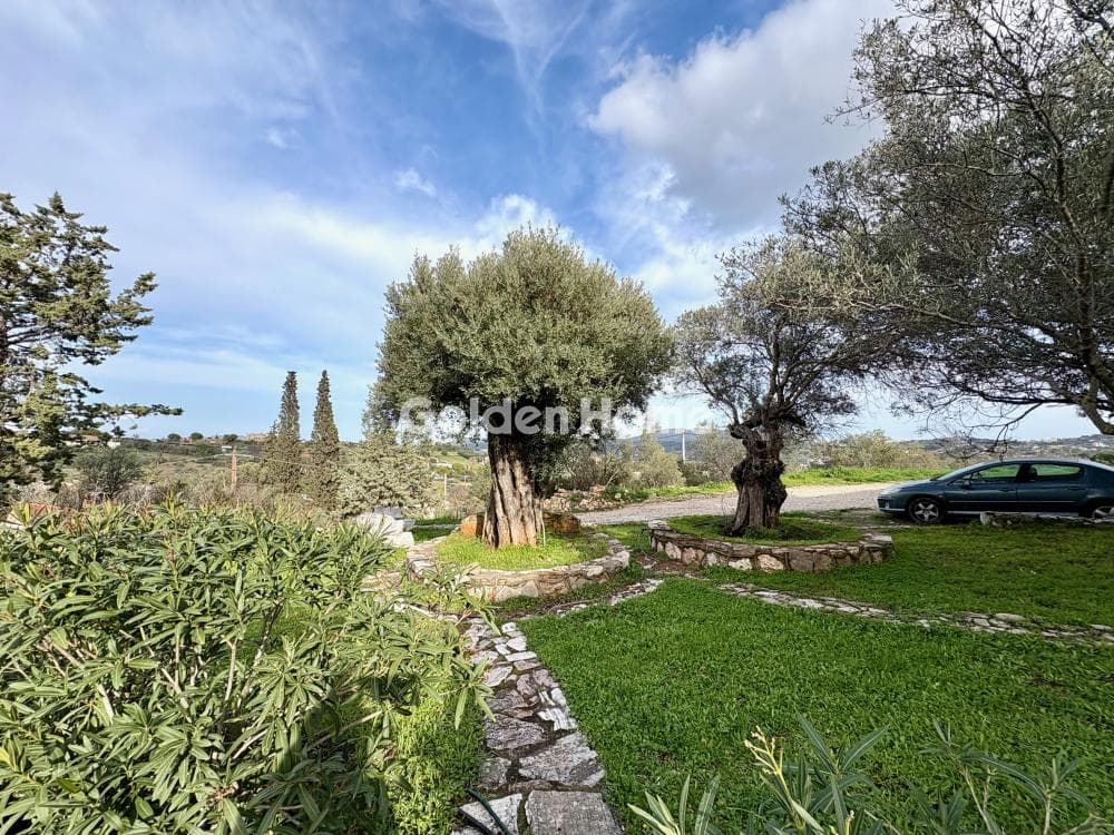 House in Agia Triada, Markopoulo — Photo 47 of 52