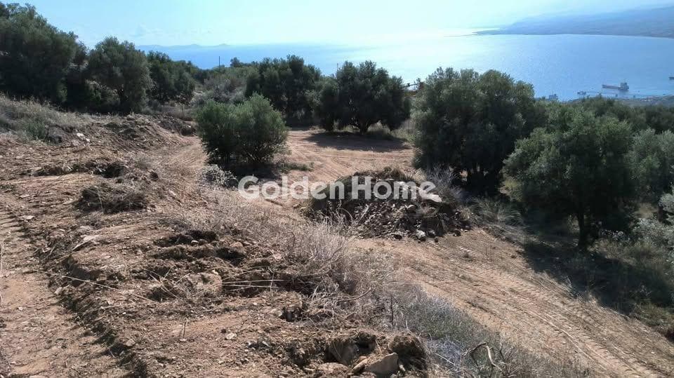 Building Plot in Rogdia, Gazi — Photo 2 of 3