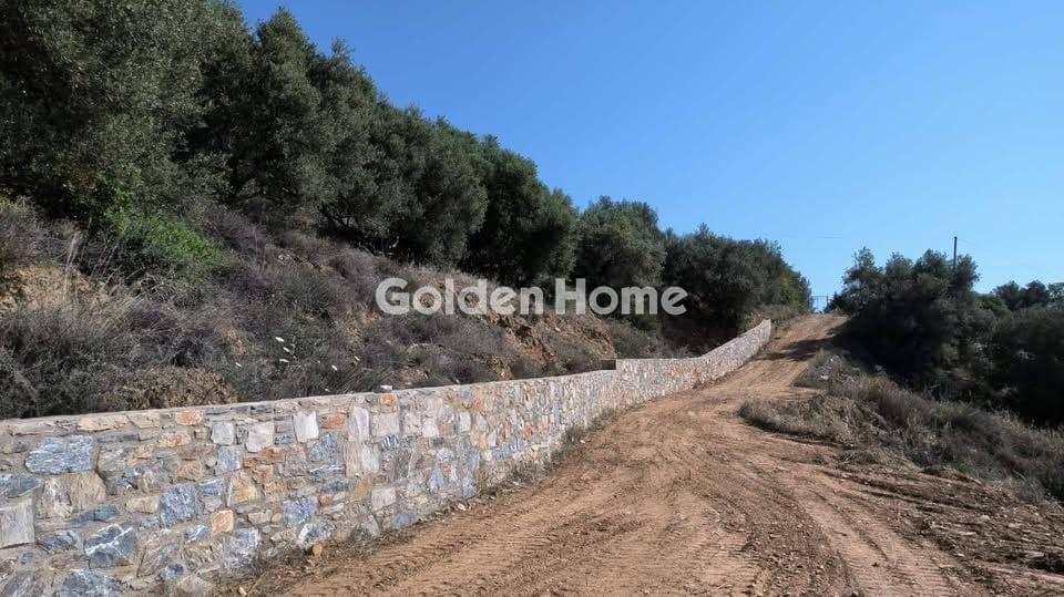 Building Plot in Rogdia, Gazi — Photo 3 of 3