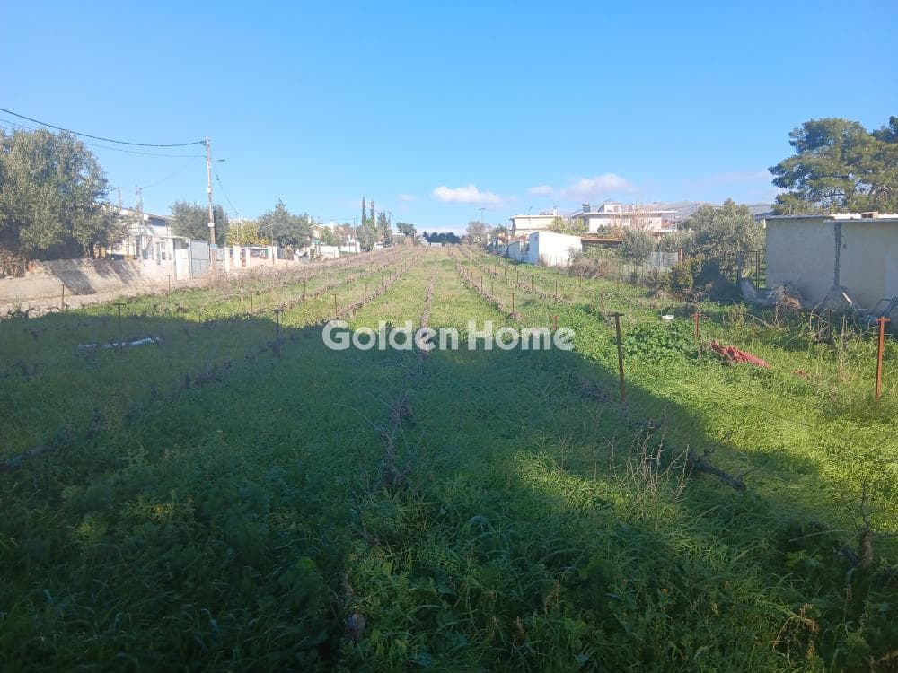 Parcel in Kesaria, Pallini — Photo 2 of 2