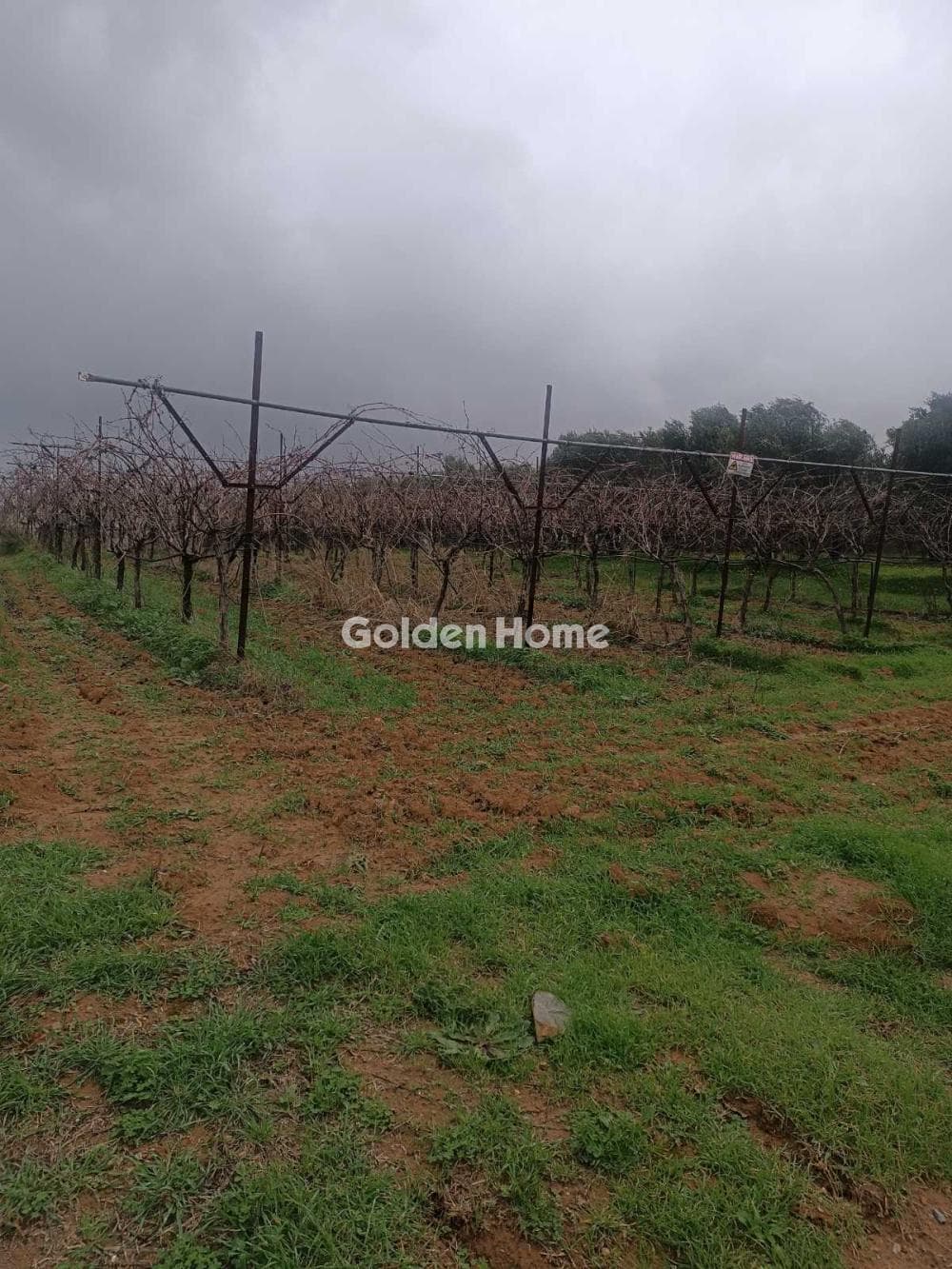 Building Plot in Center, Arkalochori — Photo 1 of 4