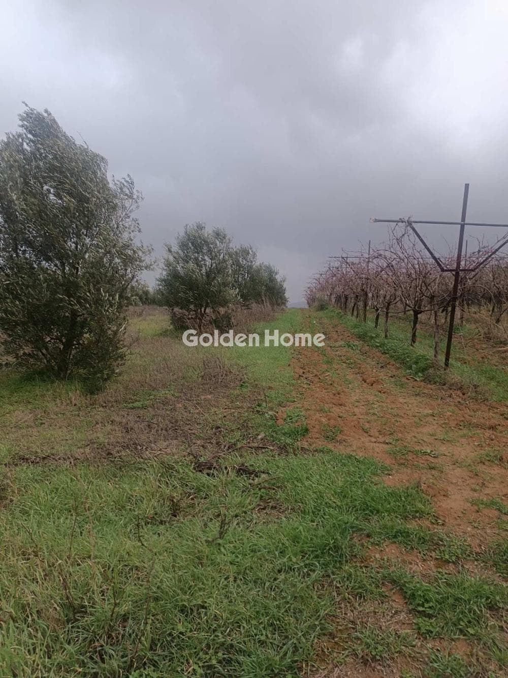 Building Plot in Center, Arkalochori — Photo 3 of 4