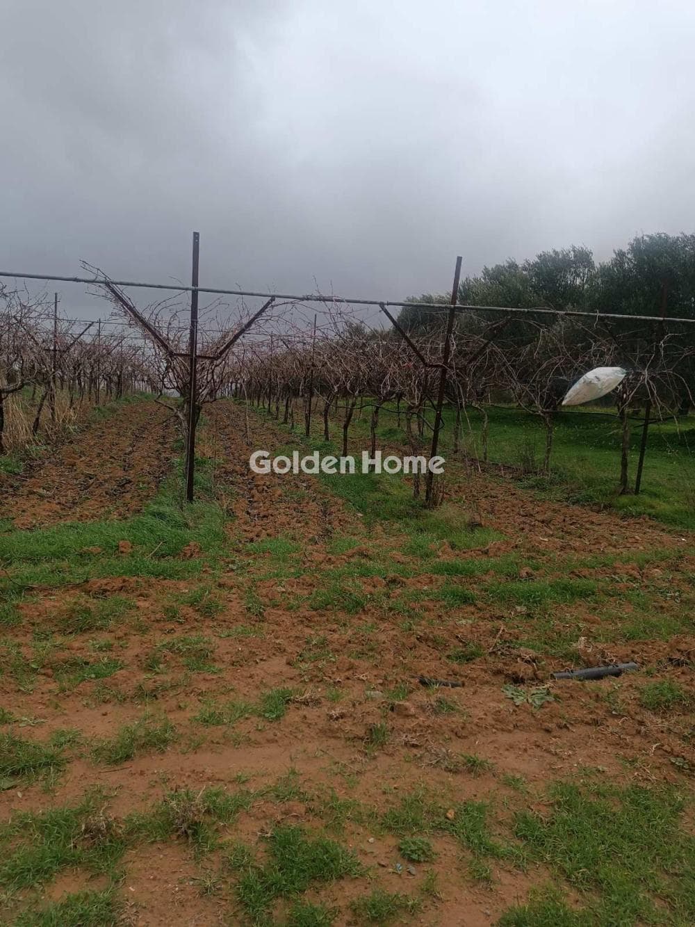 Building Plot in Center, Arkalochori — Photo 4 of 4