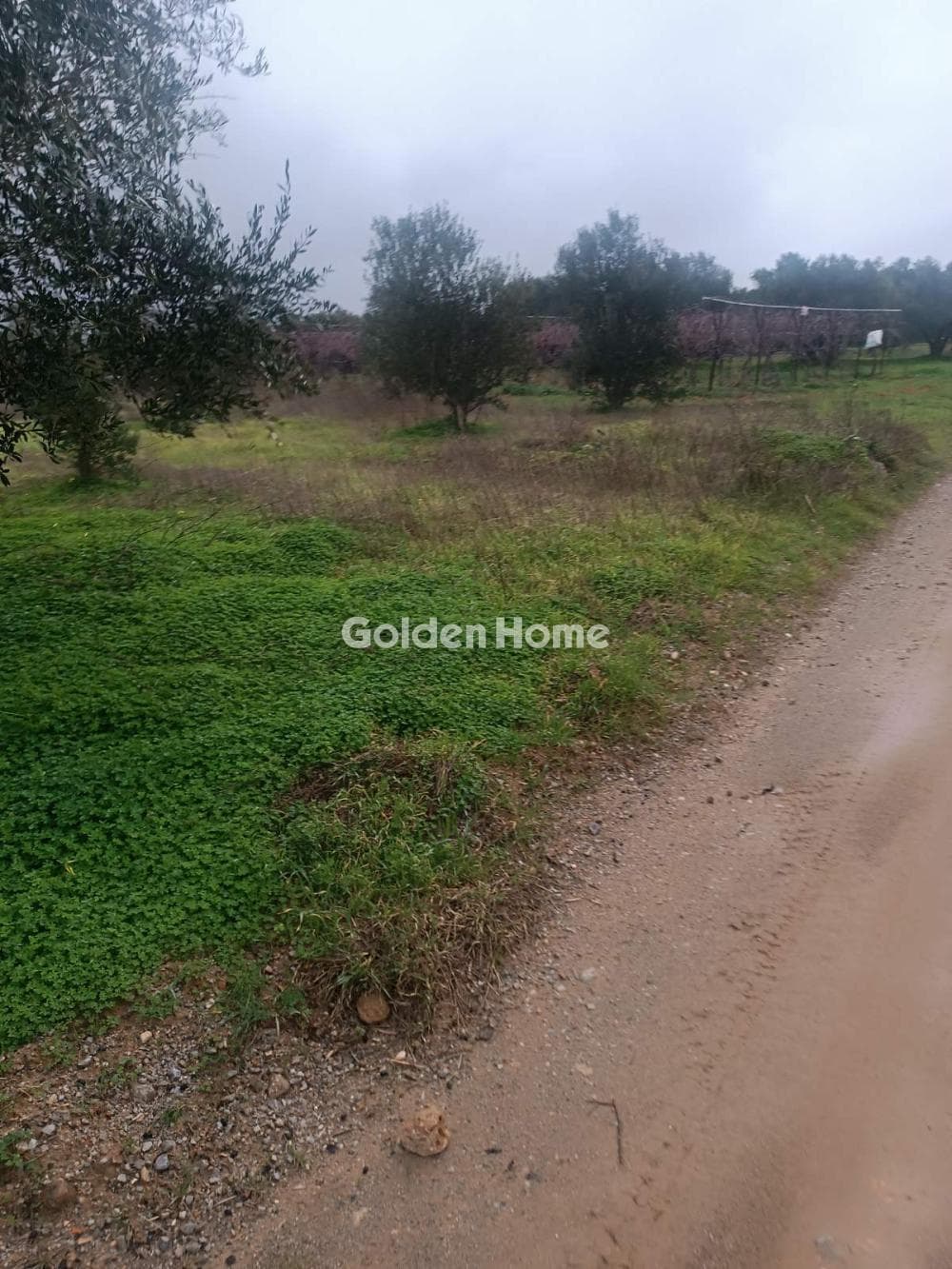 Building Plot in Center, Arkalochori — Photo 2 of 4