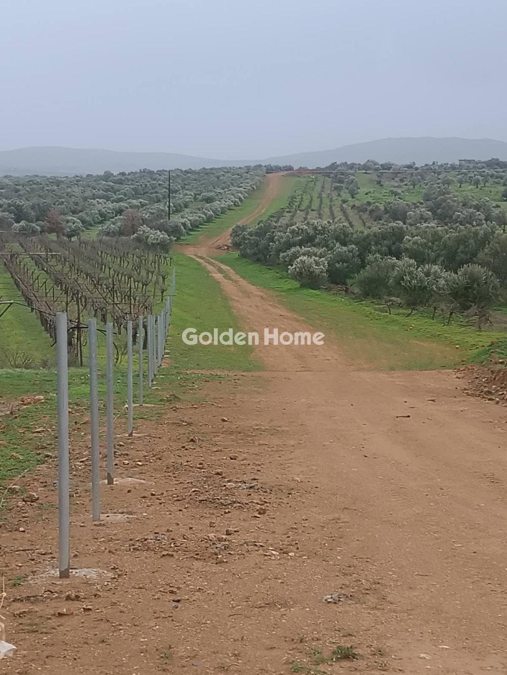 Building Plot in Center, Arkalochori — Photo 2 of 5