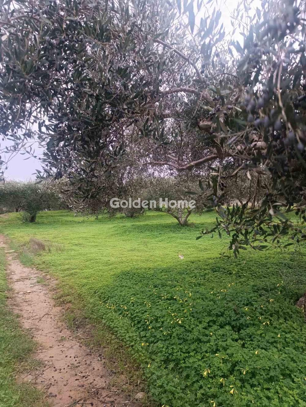 Building Plot in Center, Arkalochori — Photo 4 of 5