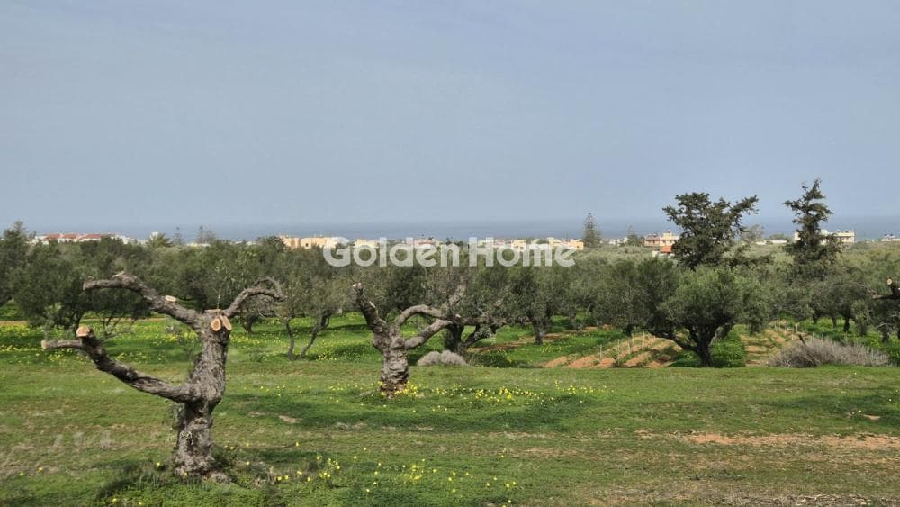 Οικόπεδο στην Αγία Πελαγία, Γούβες — Φωτογραφία 1 από 5
